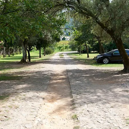 Casa de Férias Barbecue - Pool - Parking By Mystay *